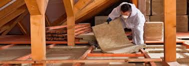 Best Attic Insulation Installation  in St Paul, MN